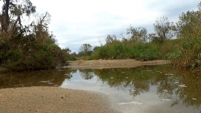 PAJERO パジェロ 水浴び。