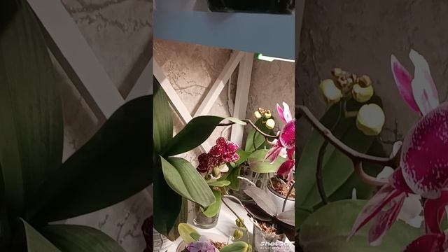 Мой стеллаж 2025