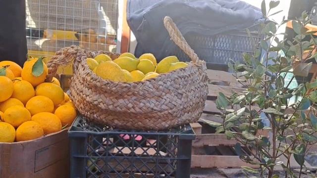 АЗЕРБАЙДЖАН 🇦🇿 ГОРОД КУСАРЫ МЕСТНЫЙ БАЗАР 🍋