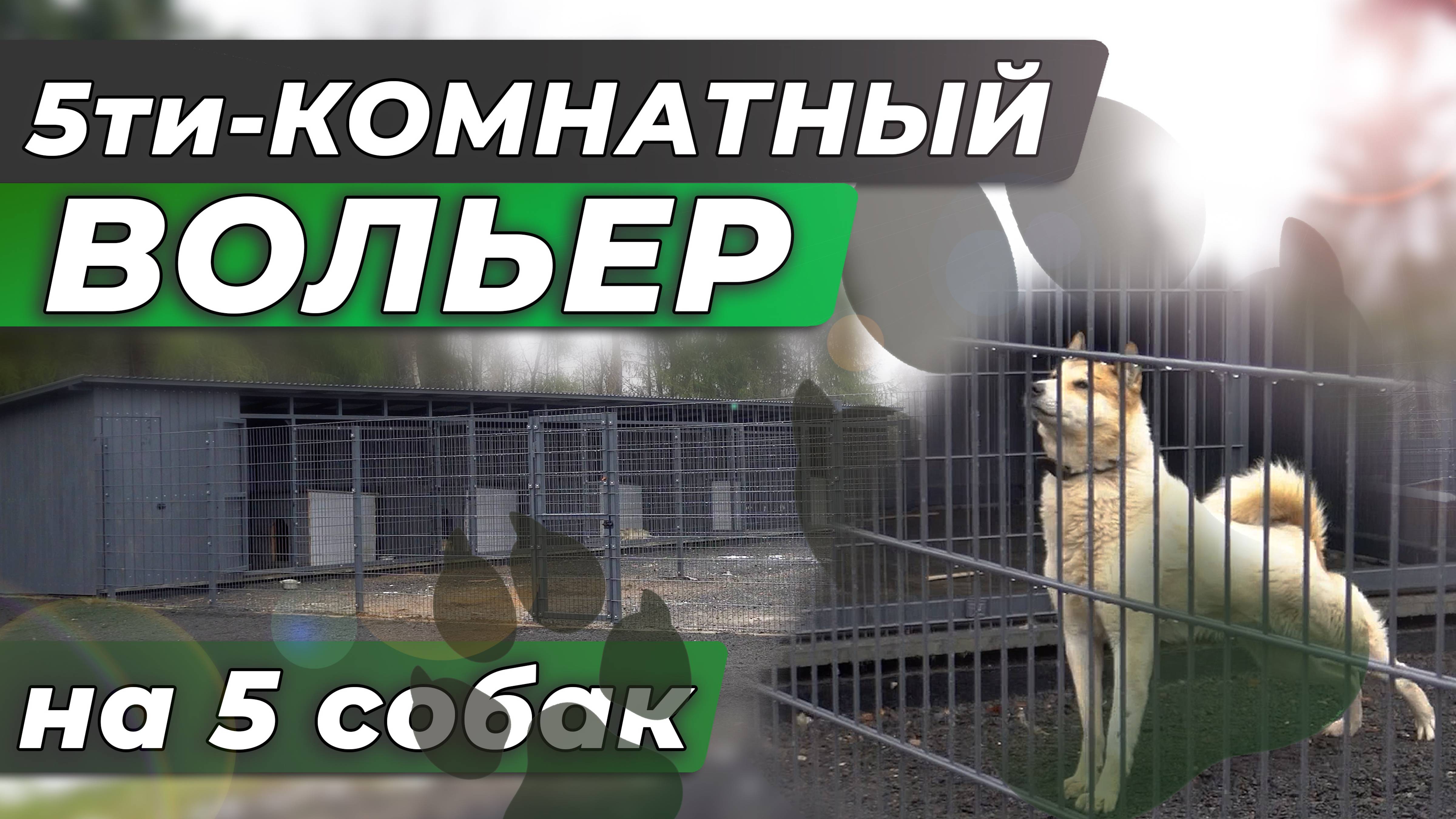 Жизнь охотничьих собак/ 5ти-местный вольер