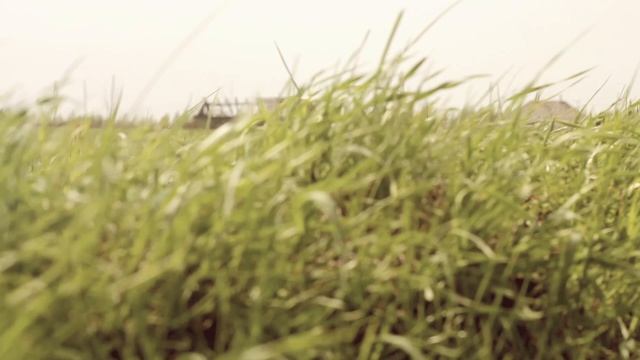 Современные эффекты