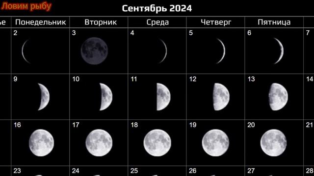 Календарь клева с 15 по 30 сентября 2024 Прогноз клева рыбы на эту неделю Лунный Календарь рыбака 2