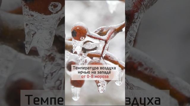 Ожидается потепление до +12