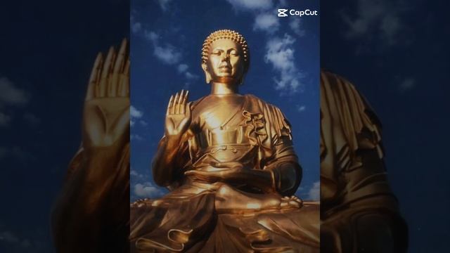 1000003680.mp4