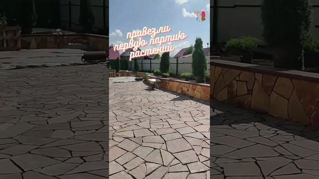 привезли первую партию растений. Начинаем расставлять и сажать