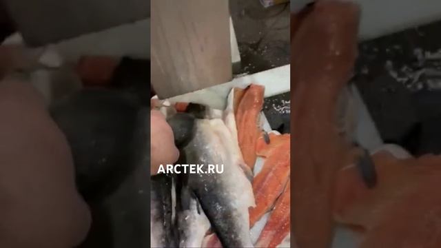 Разделка горбуши на филетировочной машине Carnitech CT 2611