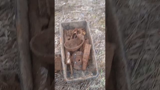 InShot_20250112_171549969.mp4