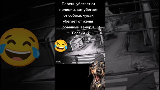 Обычный вечер 😅😅😅