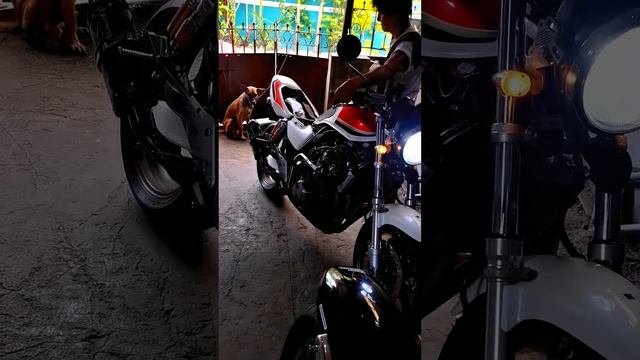 Cb400sf hypher vtec tuning