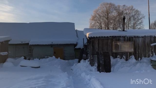 Красавица-зима🌲❄️