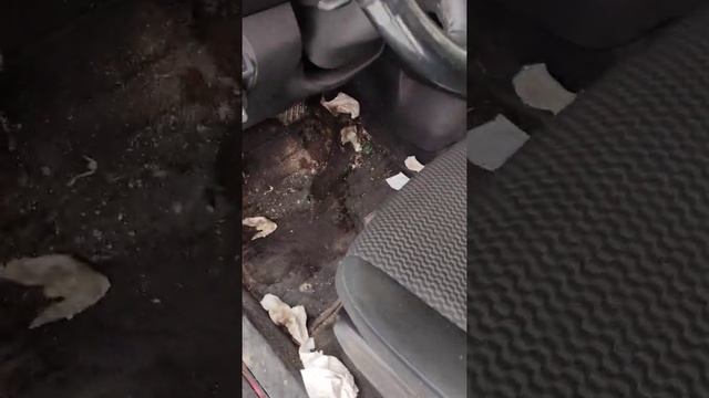 не большой минус Nissan Leaf, когда на улице минус.