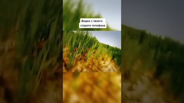 погоня не нажизнь а насмерть