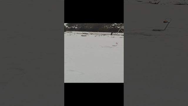 13-01-2025