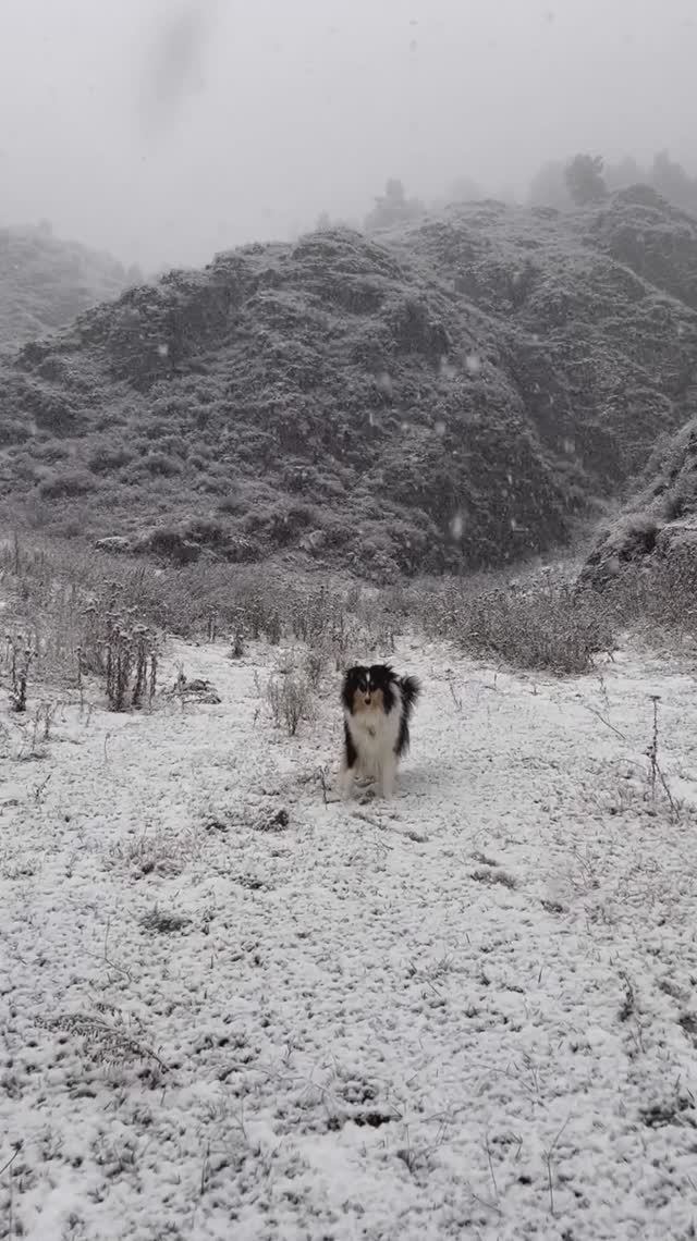 Сказочно красивый день в Чемале, год назад✨🤍.