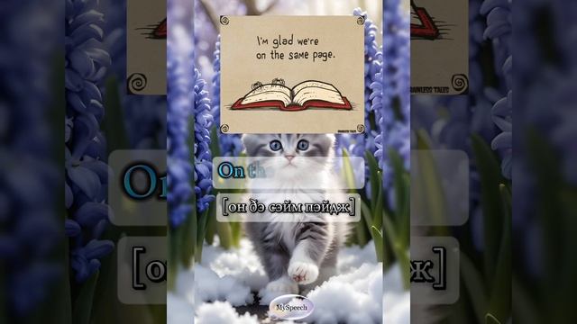 Out of the blue, On the same page
