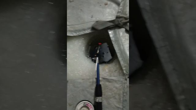 #зимняярыбалка