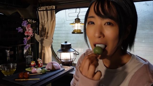 【女ひとり】雨だけど意地でも遊びたい 夜勤明け車中泊【寂しいお花見】