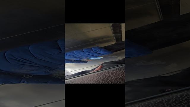 1000169523.mp4