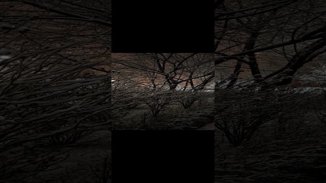 снегопад в Краснодаре.mp4