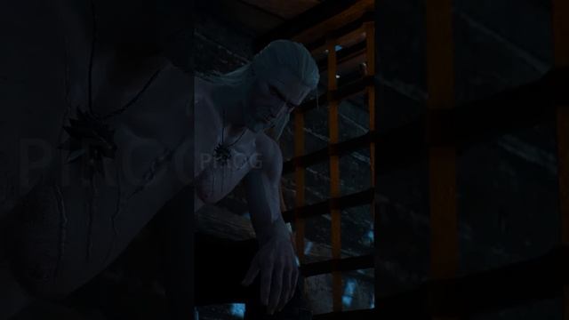 Офирский принц  Ведьмак 3 shorts witcher ведьмак мемы игры рекомендации