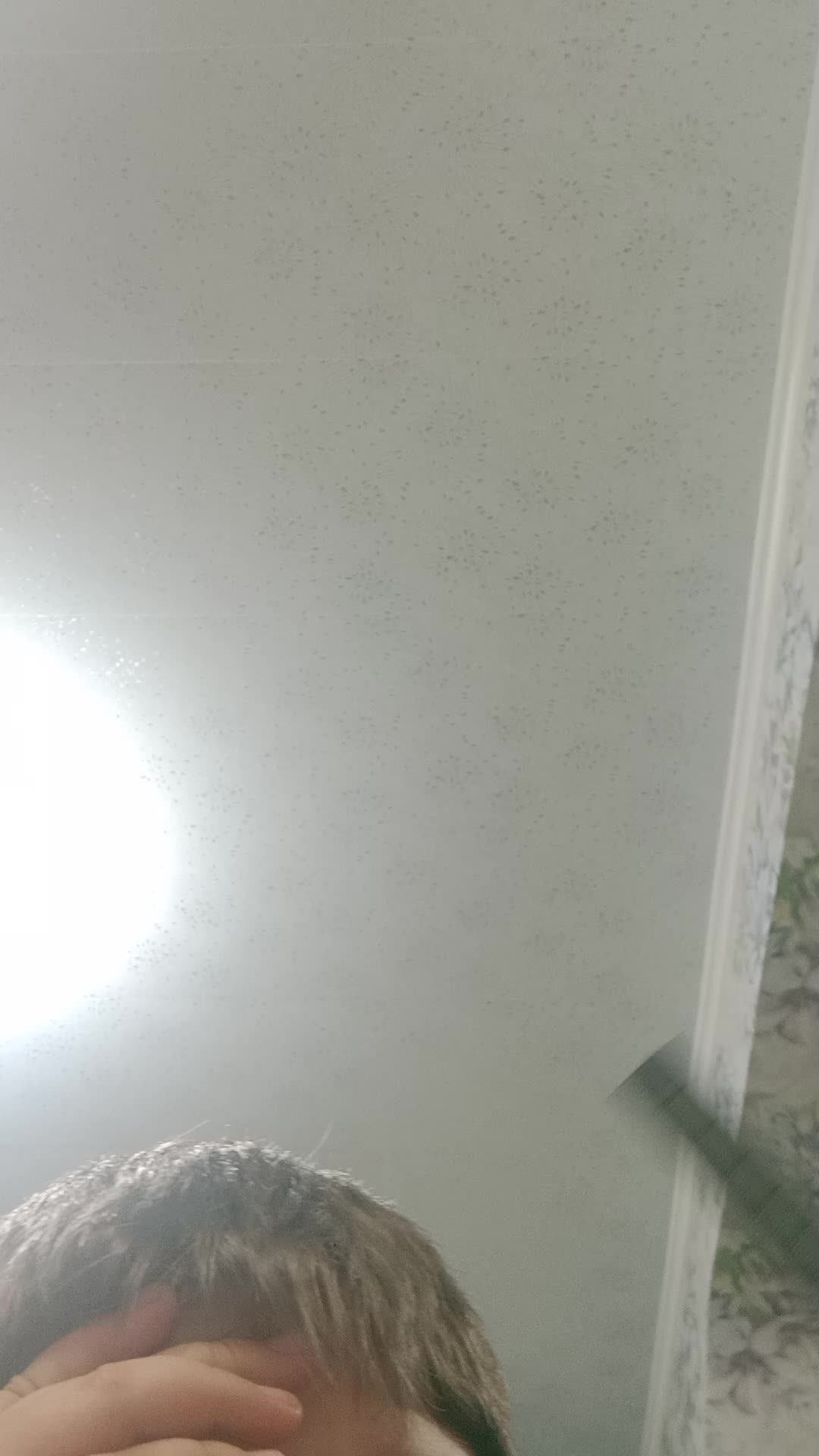 новый год