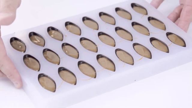 Cacao barry - Moulded bonbon Praliné 50% Piemont Hazelnuts Lenôtre