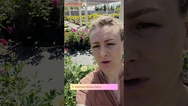 Желтые пионы #пионы #желтыепионы