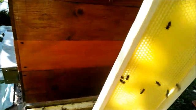 Использование семей помощниц для строительства рамок Using family helpers for construction framewor