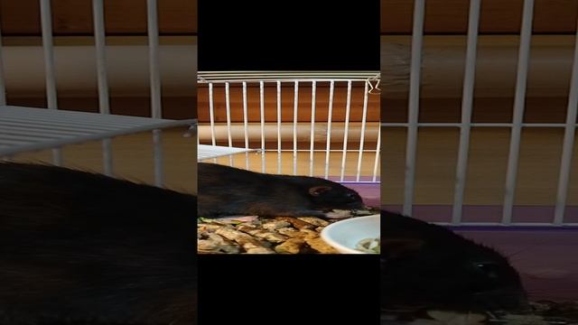 1000003864.mp4