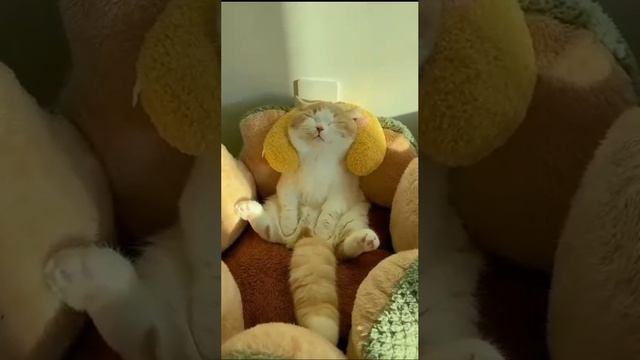 🤣😘