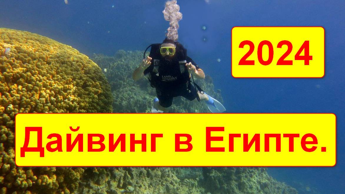 Аквалангисты это хорошо. Дайвинг в Египте 2024.