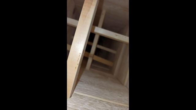 Японский улей. Главный взяток