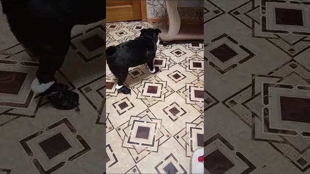 1000000379.mp4