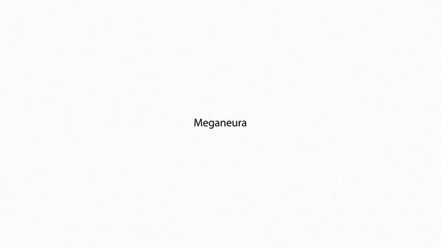 Meganeura PRONUNCIATION