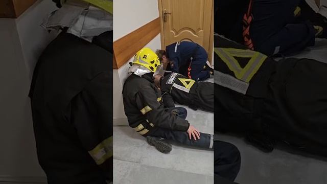 🐈Пушистая кошечка застряла под полом больницы в Беговом районе🐈