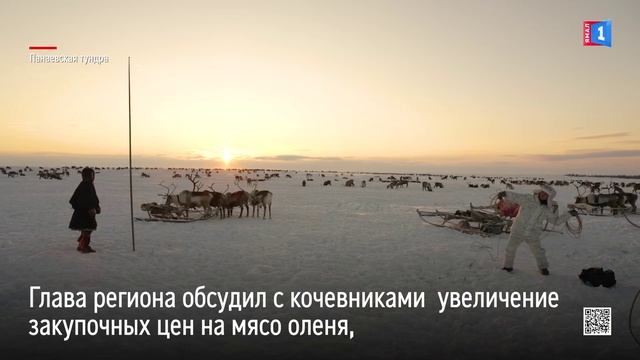 Артюхов побывал на стойбище оленеводов в Панаевской тундре