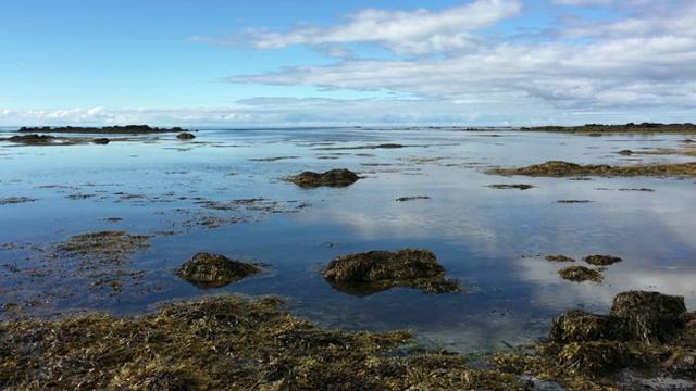 Заболоченность...