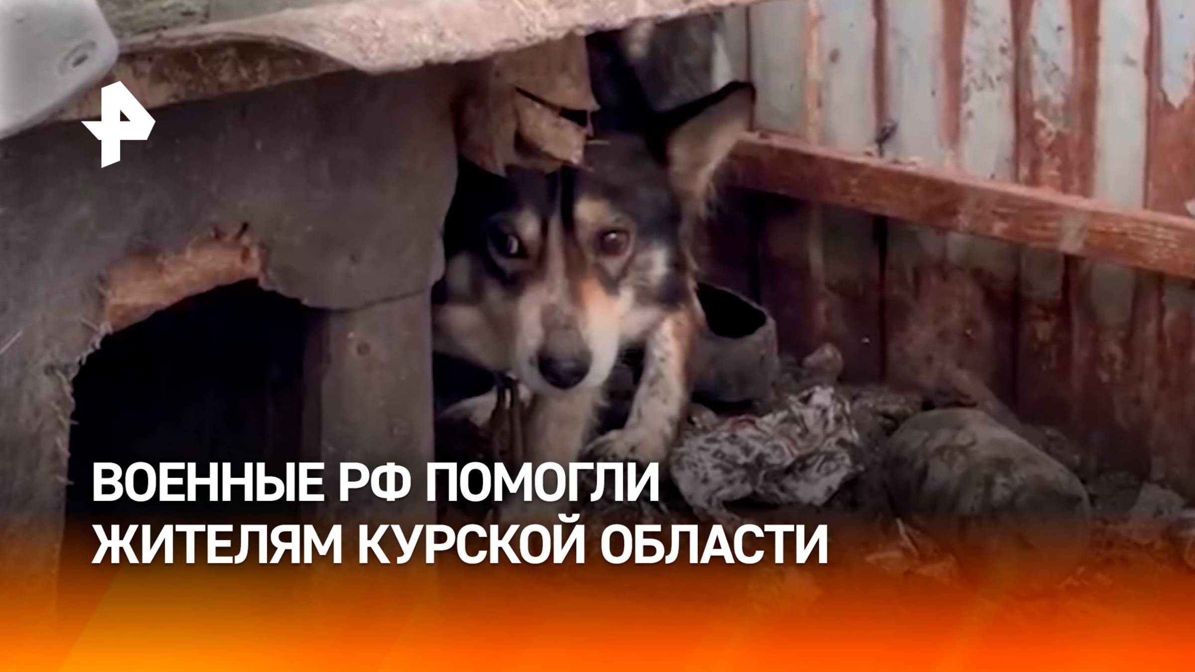Российские военные доставляют гумпомощь в Курскую область / РЕН Новости