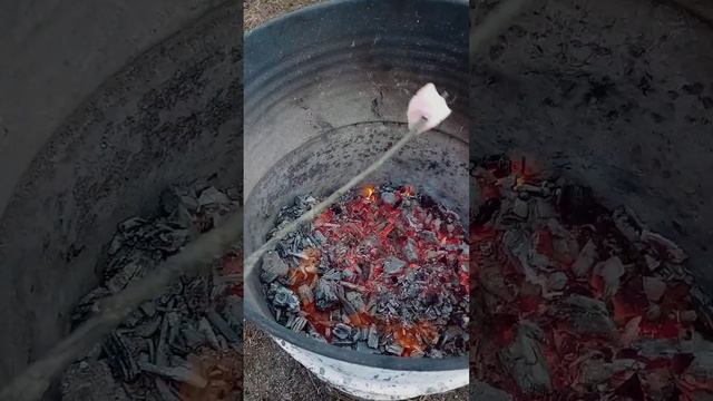 Внимание сезон шашлыков открыт!!!!!!