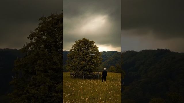 VID_20250112_233736_045.mp4