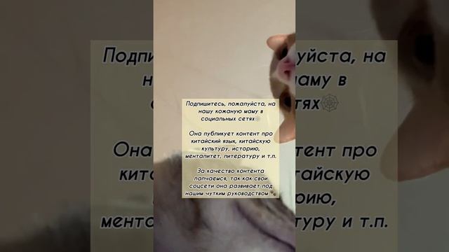 Летний онлайн-лагерь  по китайскому языку в самом разгаре#китай #китайскийязык