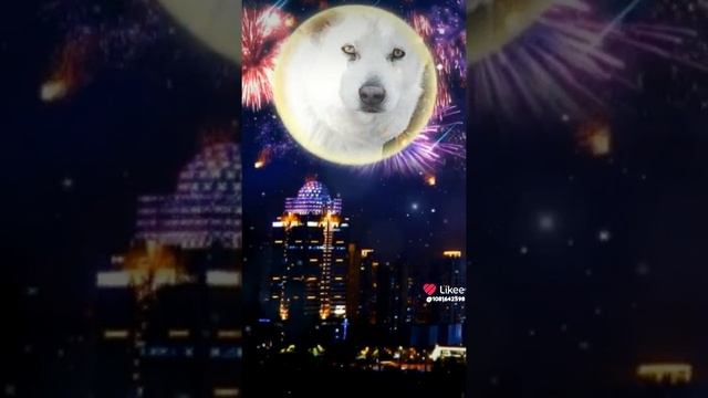 1000010929.mp4