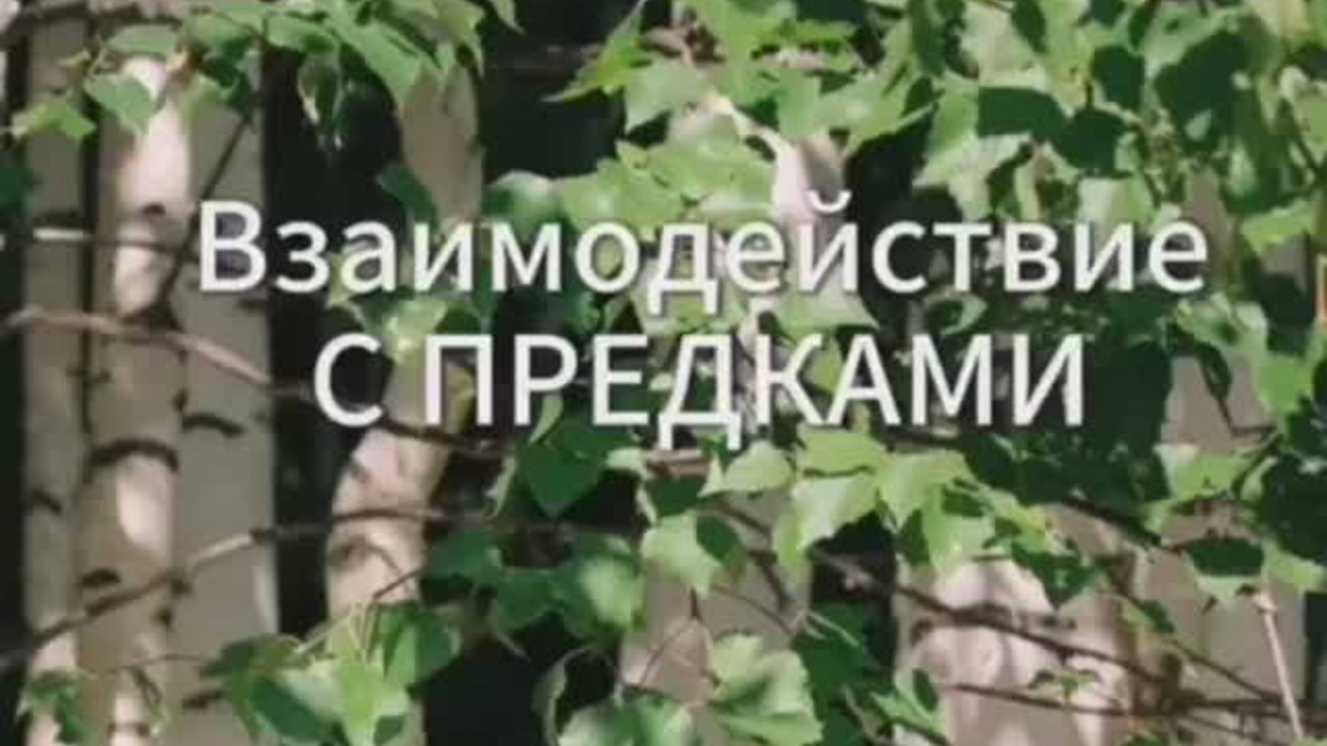 Взаимодействие с ПРЕДКАМИ