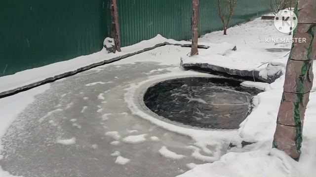 Первая зима на нашем пруду
