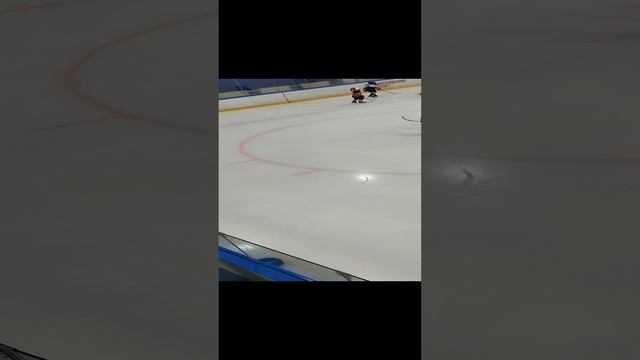 хоккеей