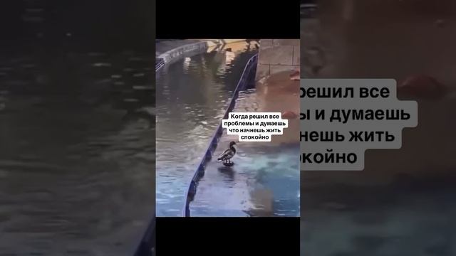 Это круто изменит твою жизнь, прочти 👇
Забери подарок в описании