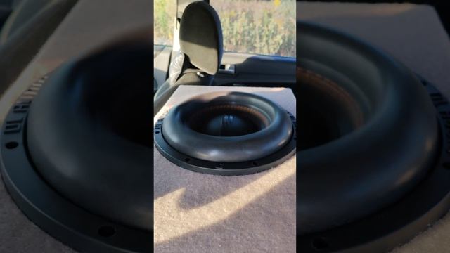 Валящий малыш от DL Audio Phoenix Black Bass 12 #subwoofer #dlaudio