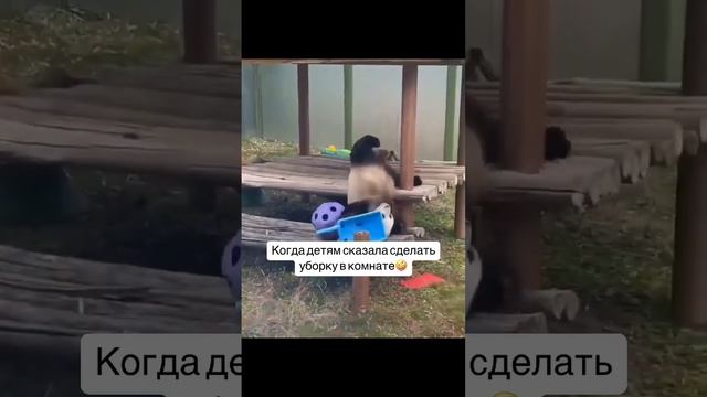Мамы, у кого такая же история?🤪