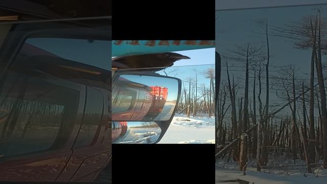1000001225.mp4