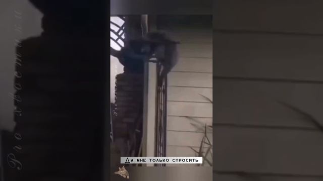 1000071189.mp4